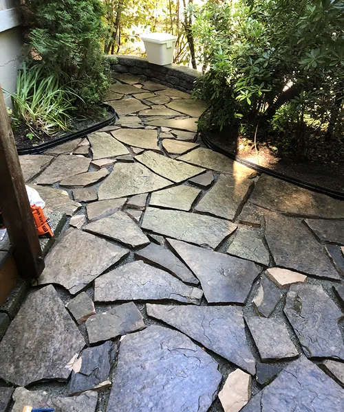 Flagstone patio wet polymeric sand in Issaquah